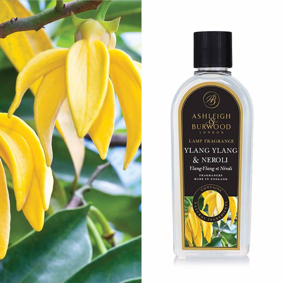 Products Ashleigh & Burwood | Ylang Ylang & Neroli Lamp Fragrance